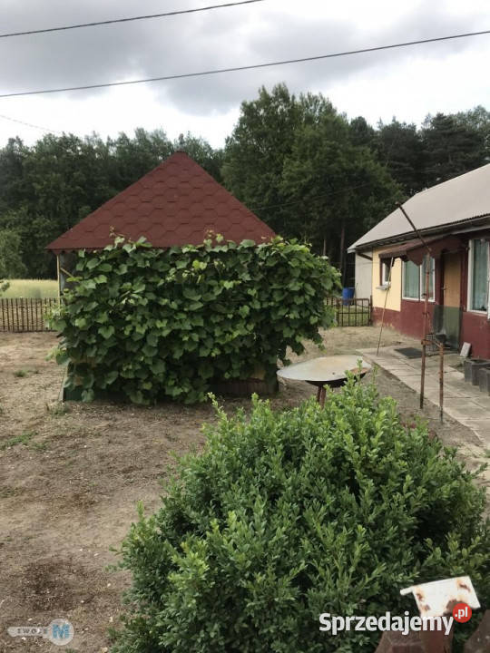 Ogłoszenie dom wolnostojący Oksa 40m2 świętokrzyskie