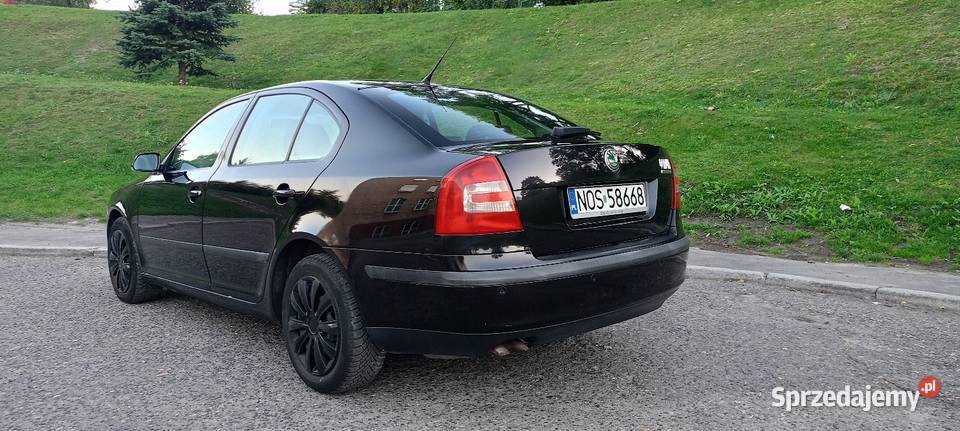 Skoda Octavia 2 19 TDI 105 Chełm