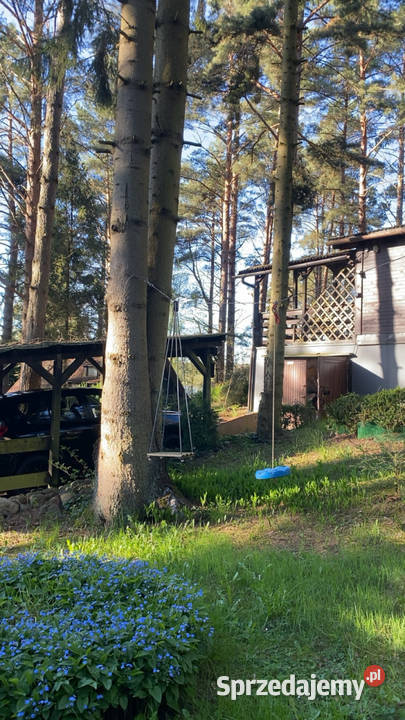 Domek jeziorem w lesie