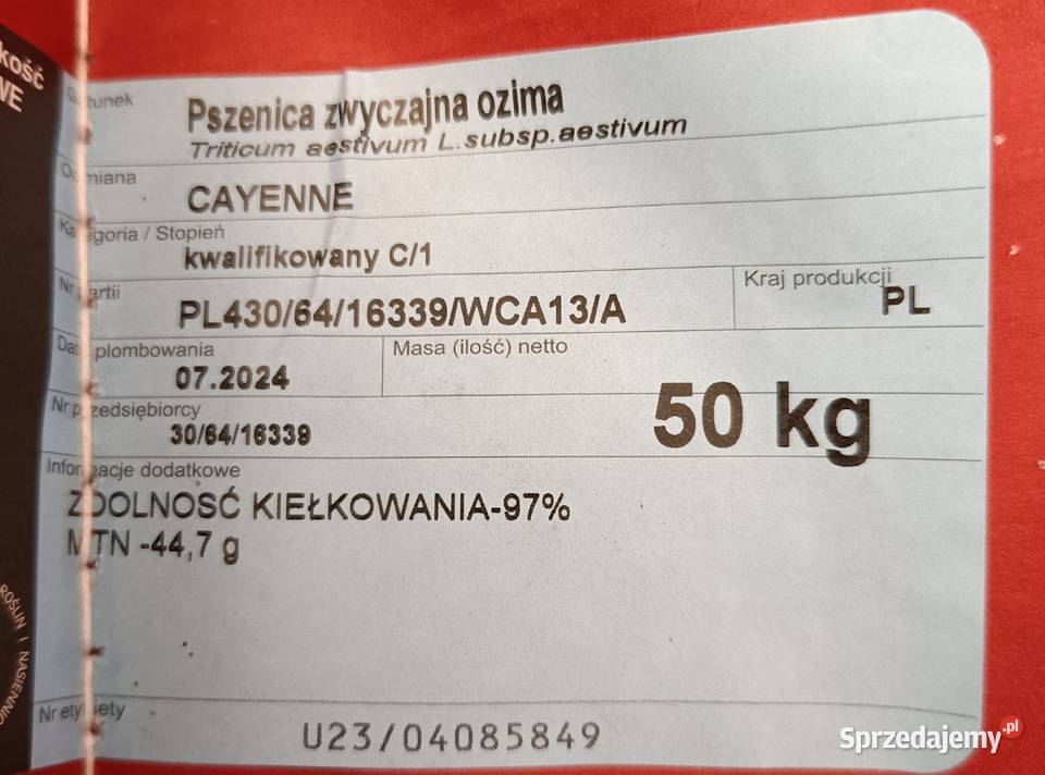 sprzedam pszenica ozima nowa odmiana 2025 Ligota Bialska