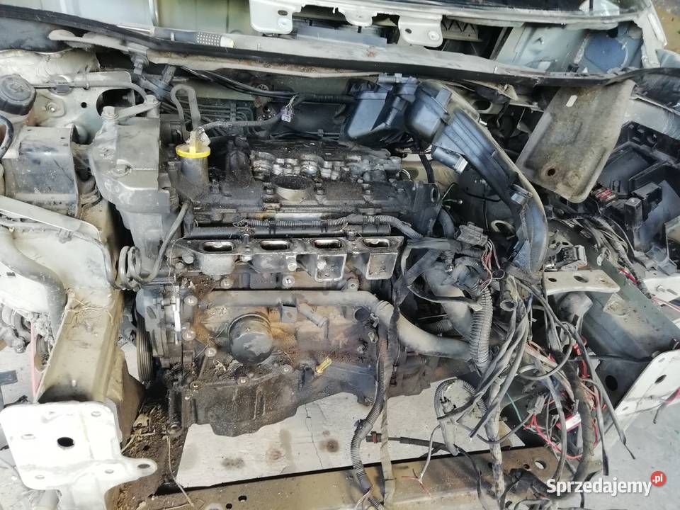 Klimatyzacja wentylacja Ogrzewanie, wentylacja i klimatyzacja Leśne Chałupy sprzedam