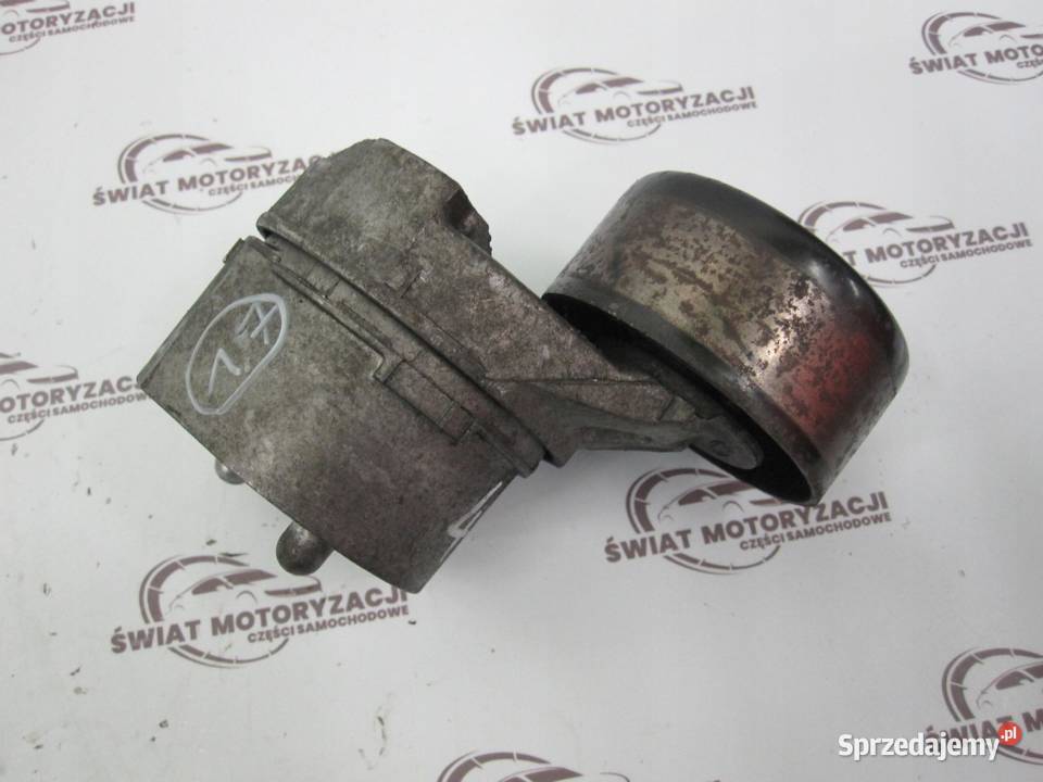 FORD TRANSIT 24 TDCI H9FA 100 napinacz paska