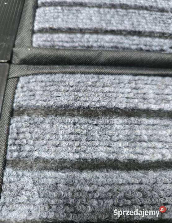 Składana rampa dużych psów pomorskie Starogard Gdański