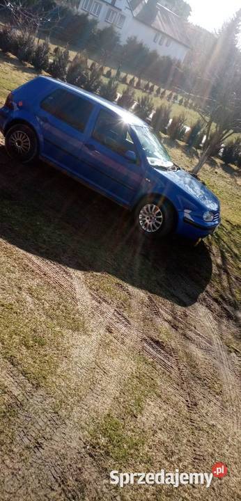 Golf 4 Niedźwiedź sprzedam