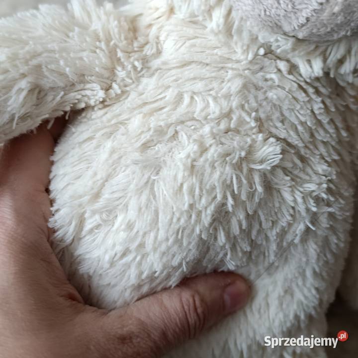 miś w odcieniu kremowym 40 Maskotki