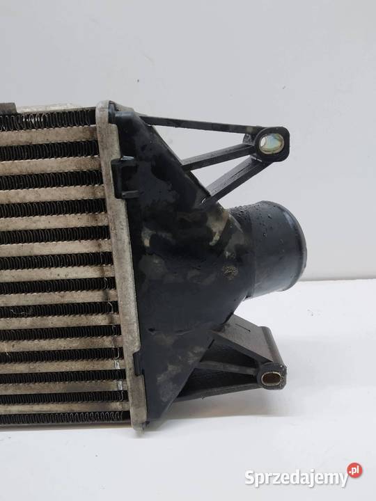 INTERCOOLER Iveco Daily III 19992014 sprzedam