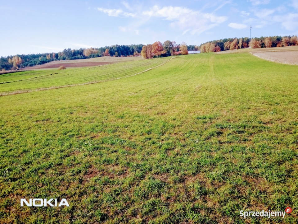 MazuryStare Juchy Działka 7500m 37 złm2 rolna Stare Juchy