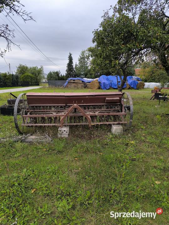Sprzedam siewnik mazowieckie Zgórze