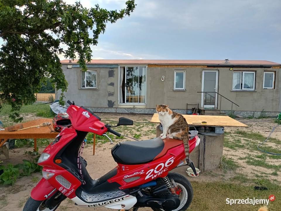 Peugeot speedfight 2 uszkodzony Kutno