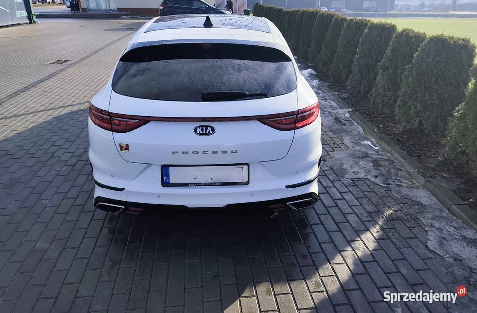 Kia ProCeed serwisowany w ASO biały 2019 r Piastoszyn
