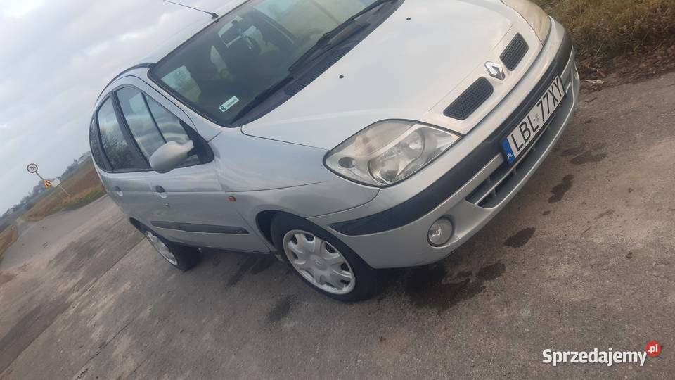 Renault Scenic Turobin