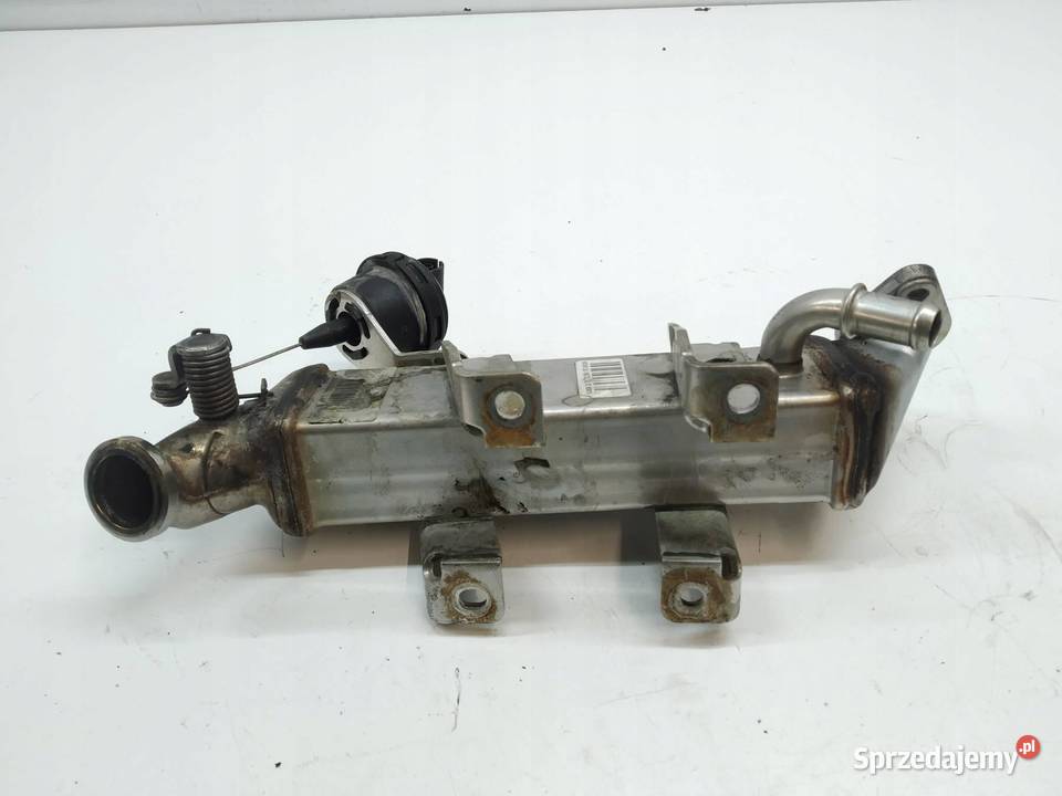CHŁODNICA SPALIN 8200719993D 20 DCI Renault świętokrzyskie