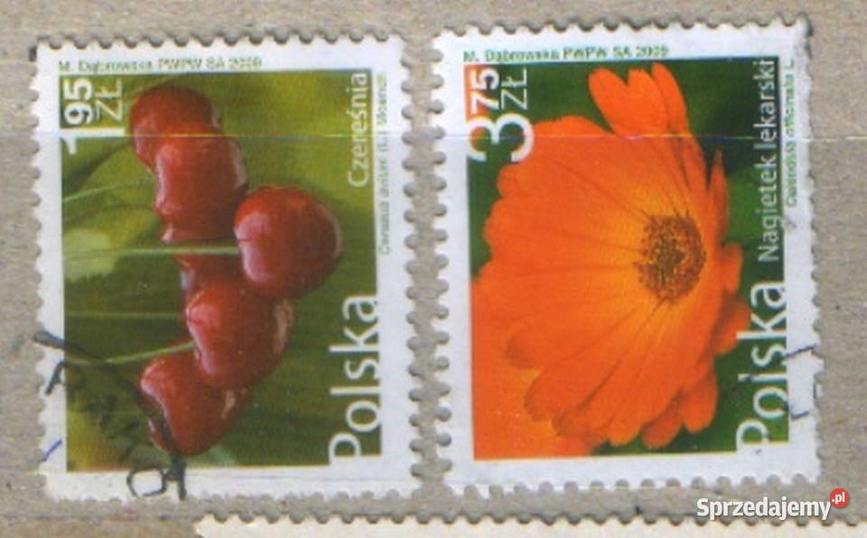 Zn Fi Wykaz zn w opisie kas 2009 Gliwice