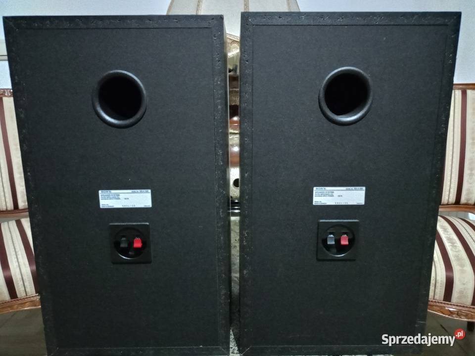 Kolumny SONY 120 Watt Drawski Młyn