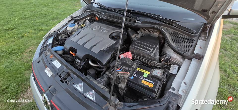 Volkswagen Polo V 16 TDI CR nieuszkodzony Polo Stolno
