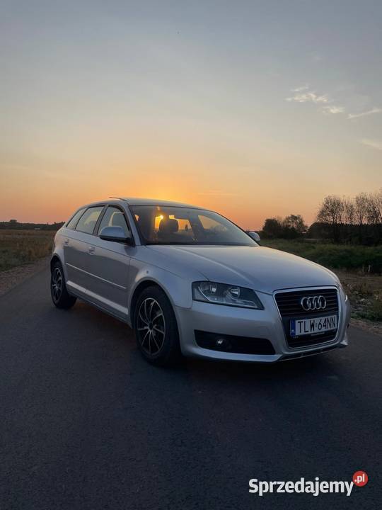 Audi A3 8P 1.9 TDI