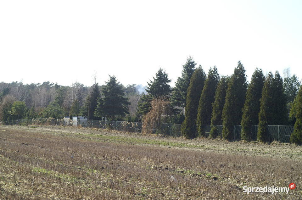 Działka budowlana 36a lubelskie Jawidz sprzedam