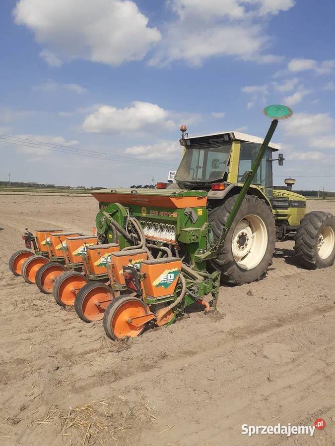 Siewnik do kukurydzy Amazone ED 451K 6 Becker Ślesin