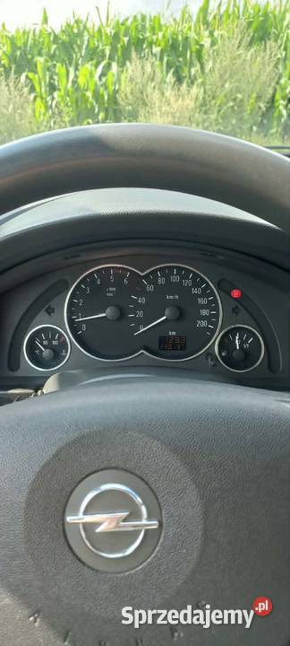 Opel Meriva Radzewo