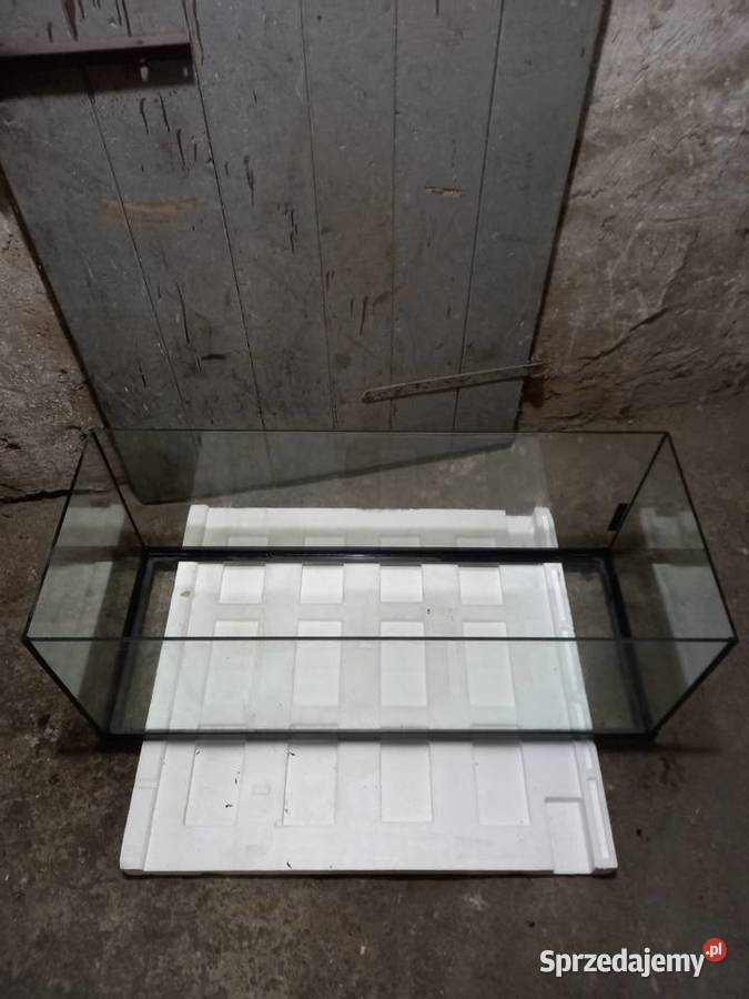 Akwarium lubuskie Gorzów Wielkopolski