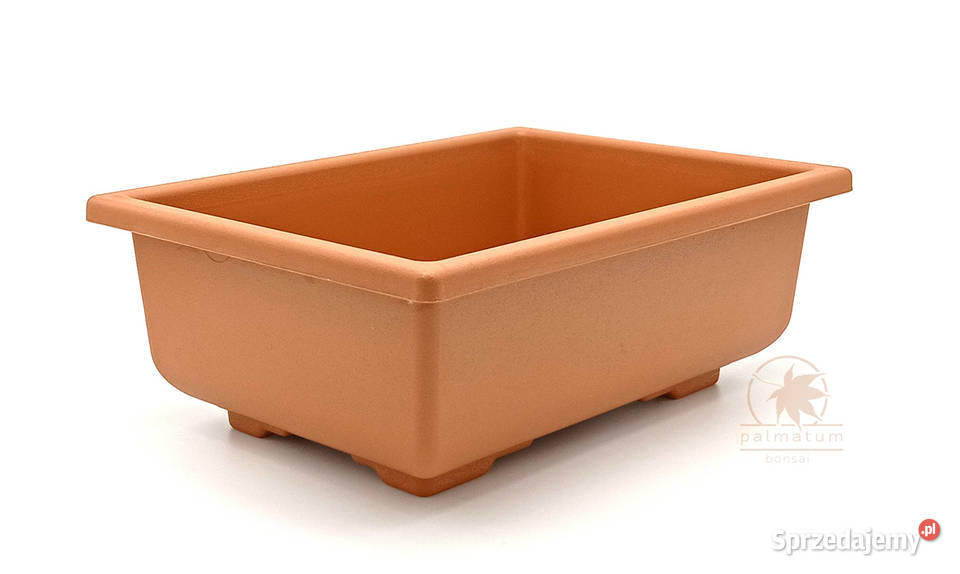 Doniczka bonsai zestaw 5 sztuk donica plastikowa śląskie Myszków sprzedam