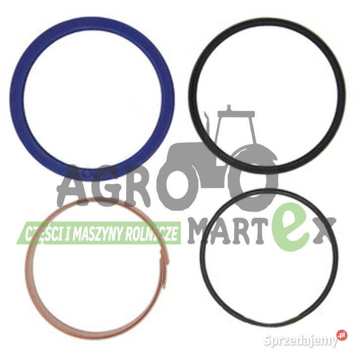 AH214615 ZESTAW USZCZELNIEŃ SIŁOWNIKA fi100 JD John Deere dolnośląskie