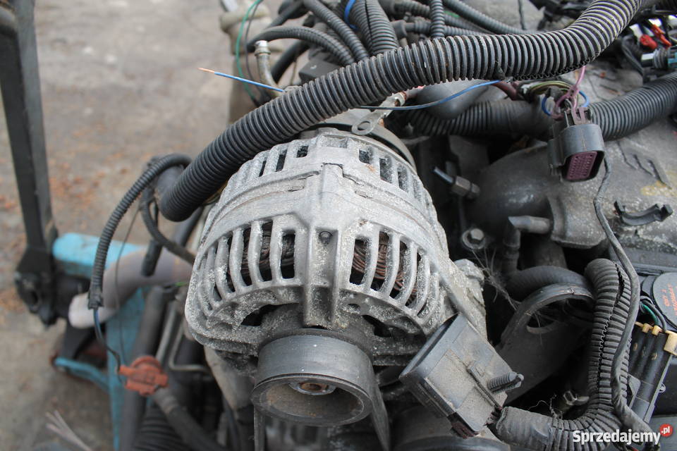 Alternator Chevrolet Trans Sport Pontiac Montan Rok produkcji 2003 Kawnice