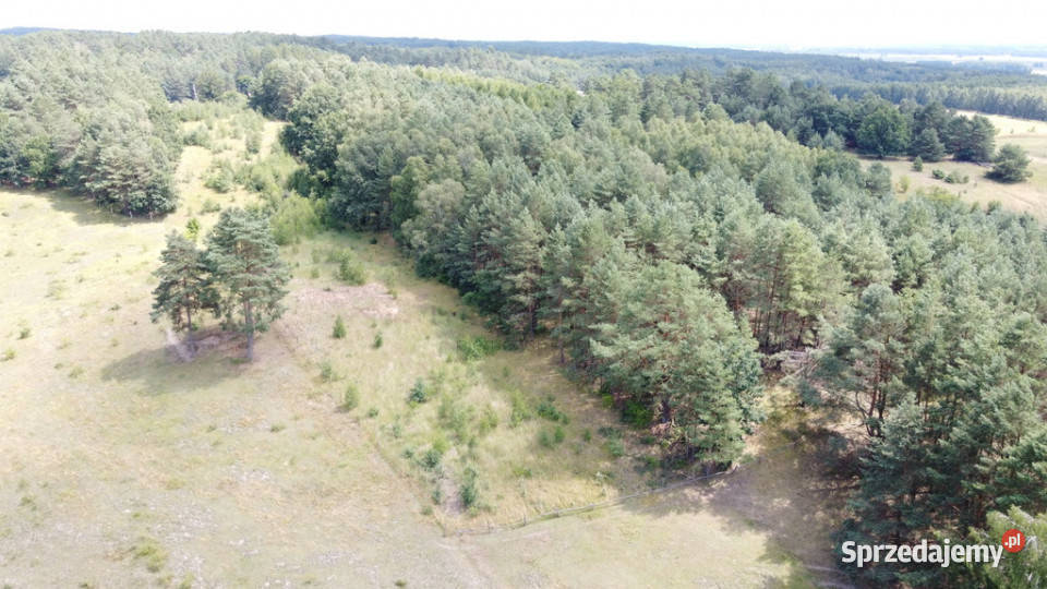 Działka rolna w Górzyskach rolna