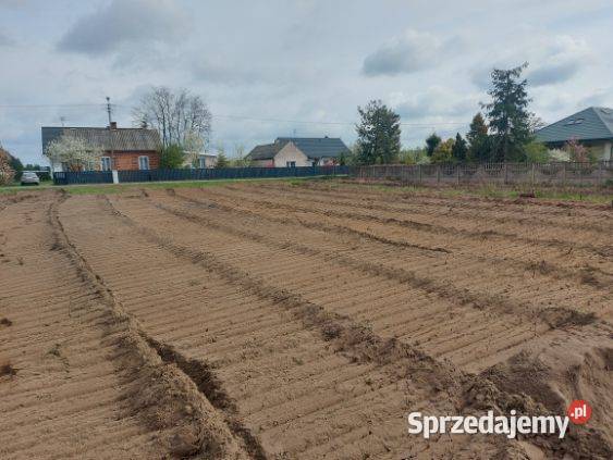 Wycinka drzew Mulczer Wgłębny Mulczer Opatów