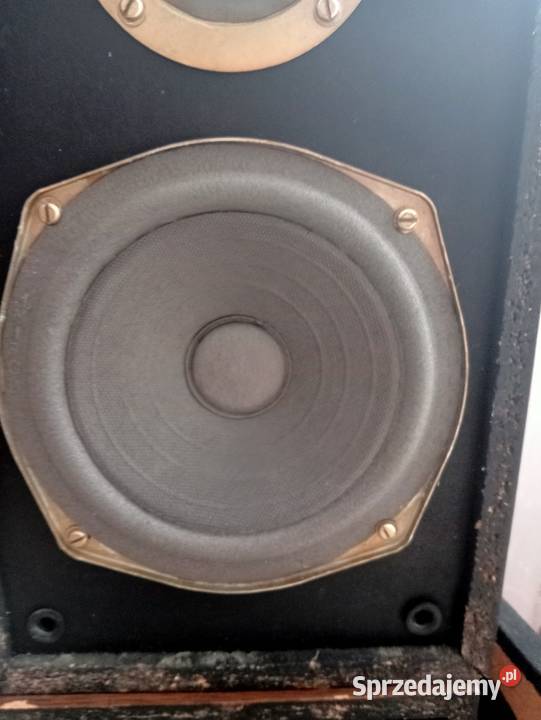 Amator 2kolumny Tonsil Częstochowa