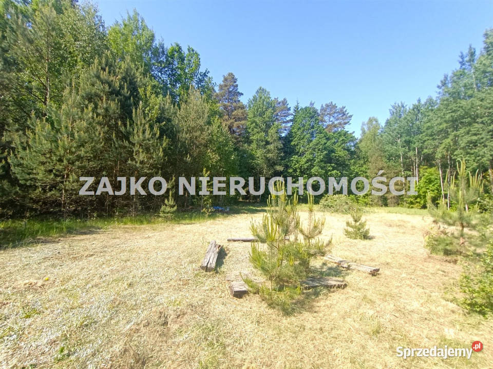 Do sprzedaży działka Nowinka 12445m2