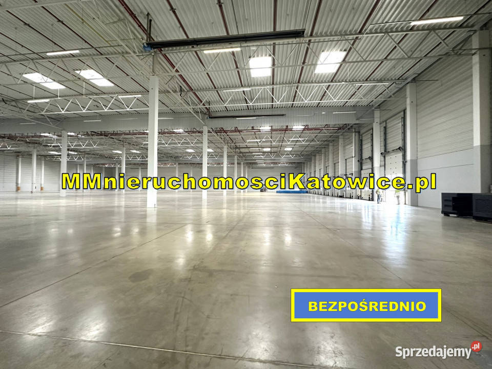 Lokal na wynajem Piotrków Trybunalski 10400m2 Lokale użytkowe