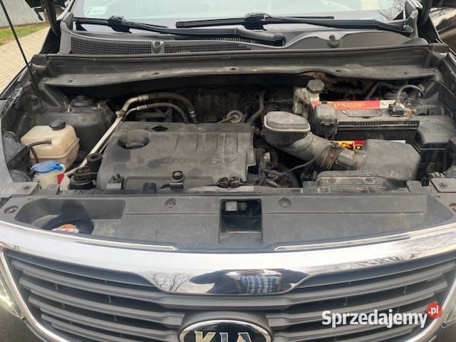 Kia sportage małopolskie