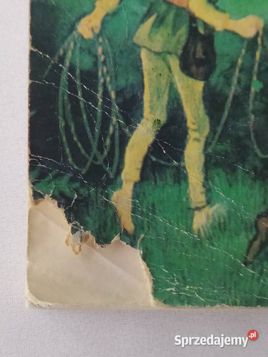 RONJA córka zbójnika Astrid Lindgren literatura piękna - proza zagraniczna Hajnówka