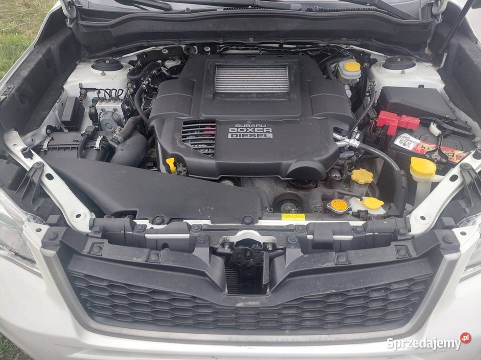 SUBARU FORESTER 2013r 20D 4X4 147 Przeb164 Forester Jelenia Góra