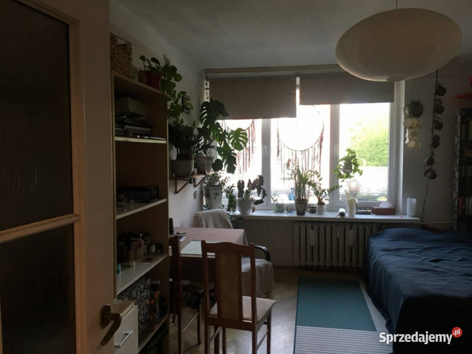 kawalerka do wynajecia 3 piętra i więcej mazowieckie Warszawa