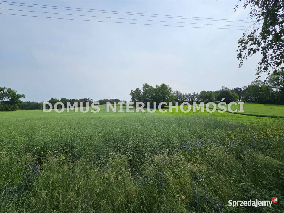 sprzedaży działki 3220m2 GałkówekParcela Gałkówek-Parcela