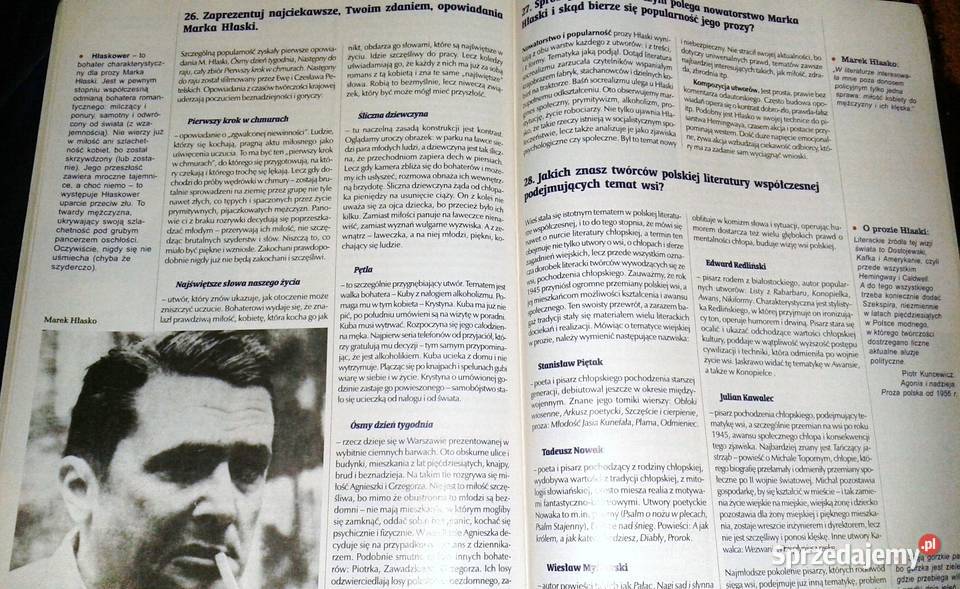 Cogito Język polski 6 Pytania i odpowiedzi Książki i Podręczniki Chełm