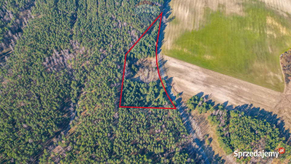 Działka rolna Kuźnica Żelichowska jezioro widoki