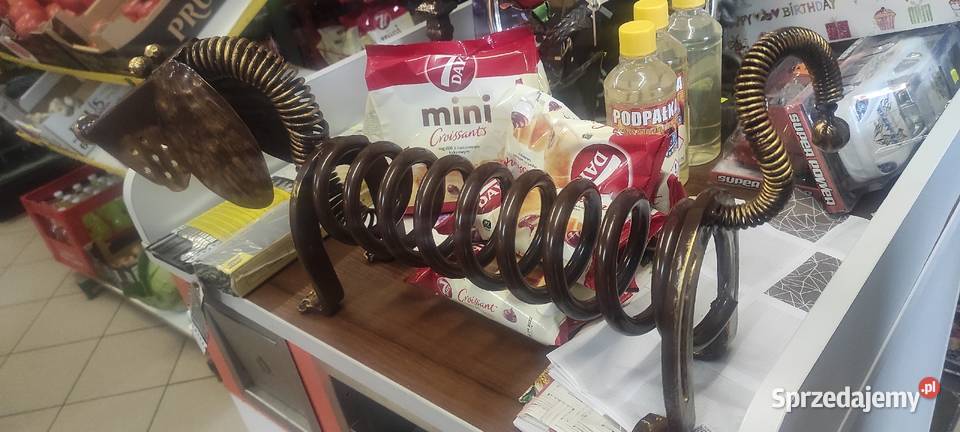 Pies prezent urodziny jamnik Łódź