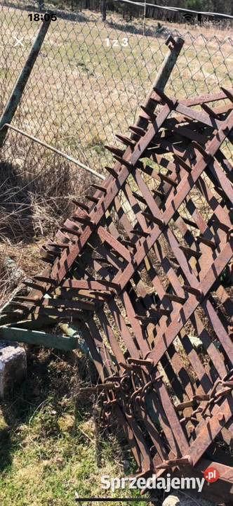 Brony 5 polowe Grudziądz nieuszkodzony