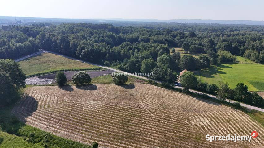 Działkę sprzedam 1300 metrów Borek budowlana