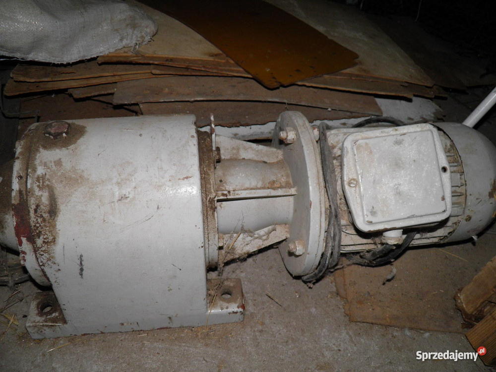 Paszociąg łańcuchowy