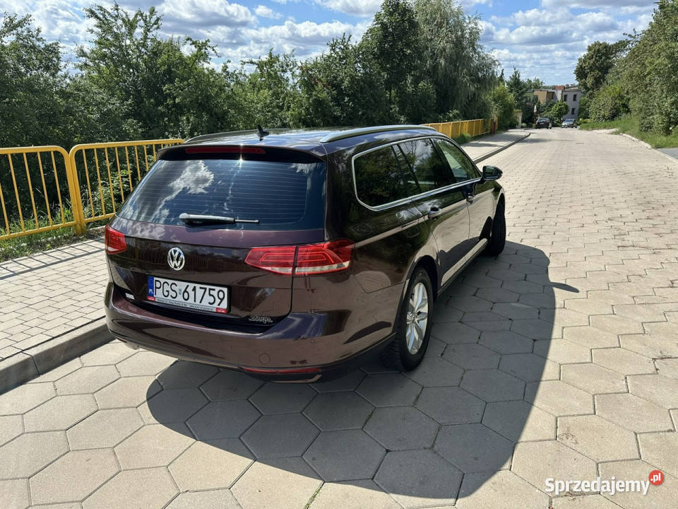 Volkswagen Passat Volkswagen Passat B8 16TDI wielkopolskie Gostyń