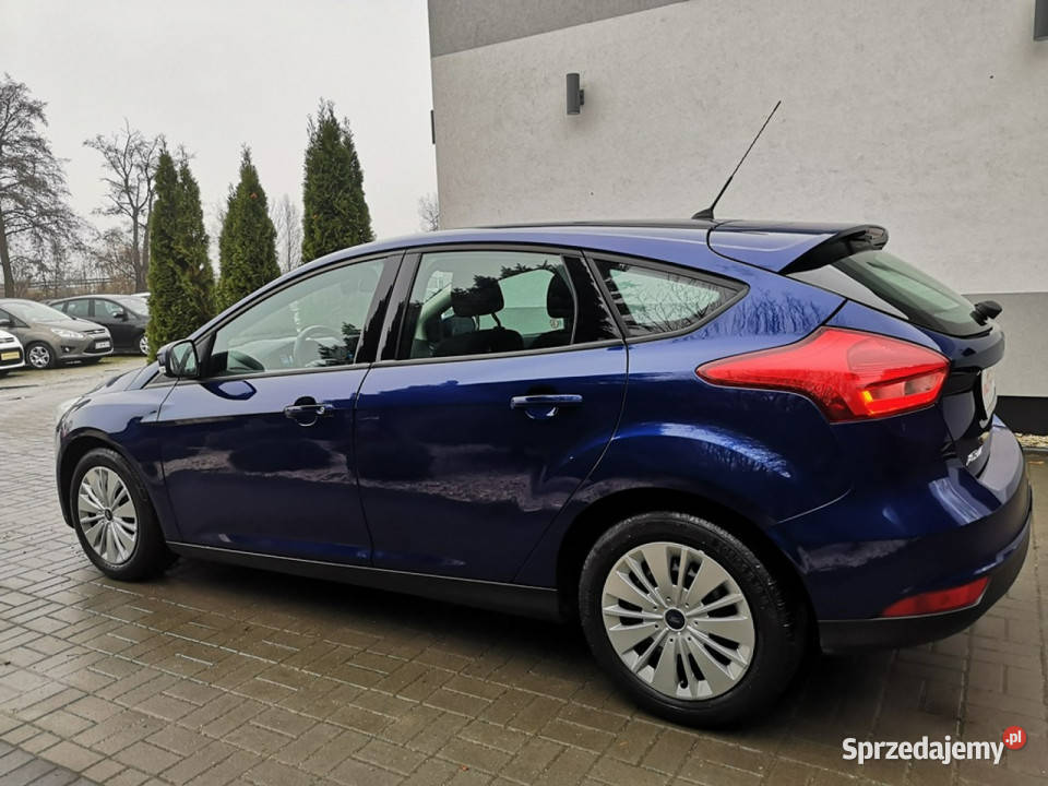 Ford Focus 10 125 Benzyna Klima Tempomat Salon dolnośląskie Strzegom