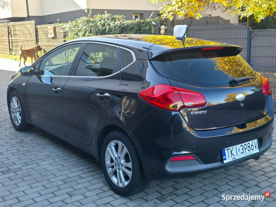 Kia Ceed 14 Benzyna Serwisowany Bogate Piekoszów