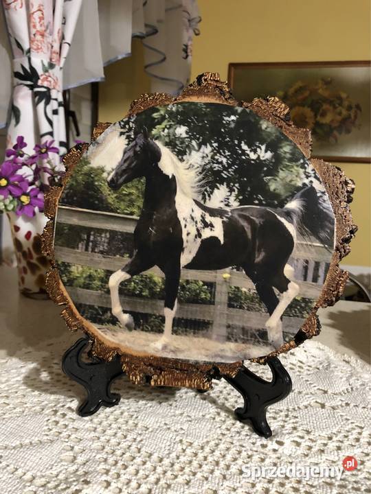 Obrazki motywy konie podkarpackie Strzyżów