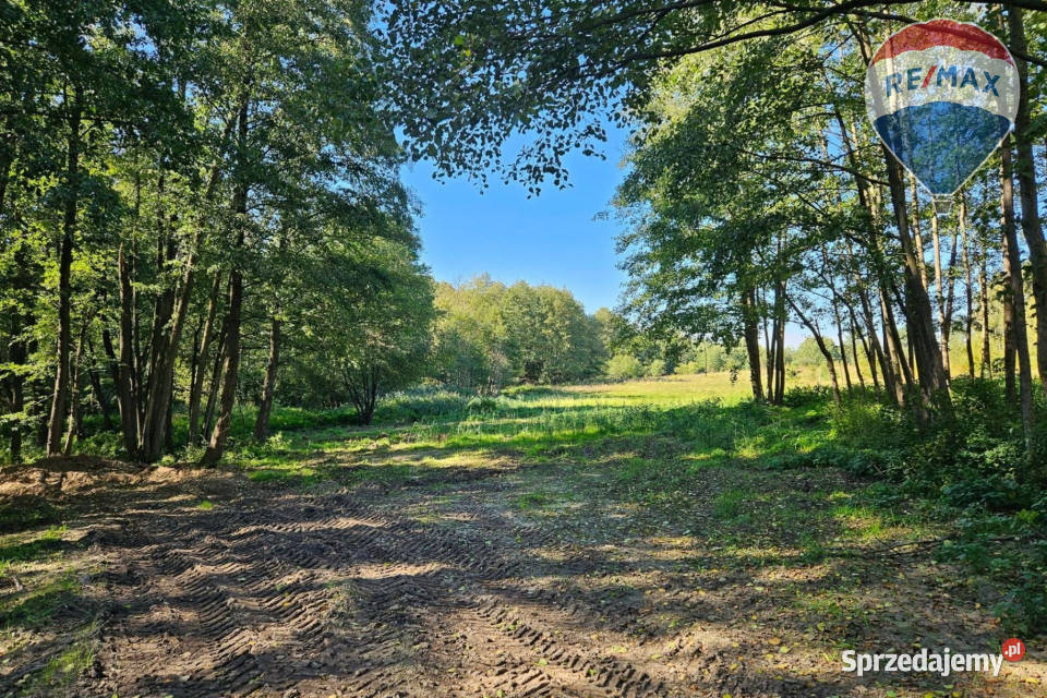 Działka budowlana 2494m2 z lasem rzeczką mazowieckie Musuły