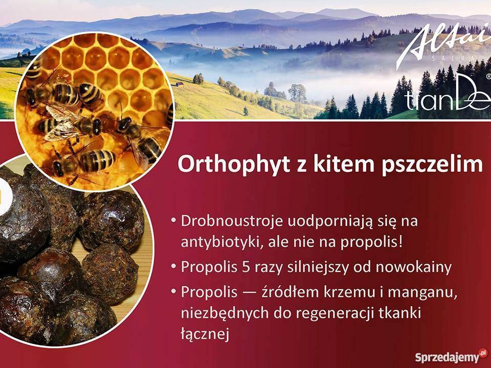 Żel do masażu ciała Orthophyt TianDe Kołobrzeg sprzedam
