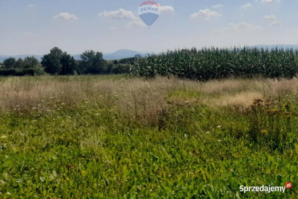 DZIAŁKA WIDOKOWA Z WZ FALKOWA GMINA CIĘŻKOWICE Sprzedaż małopolskie